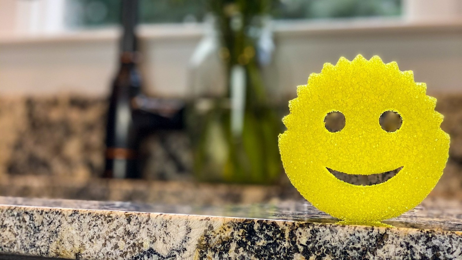 Scrub Daddy in Shark Tank